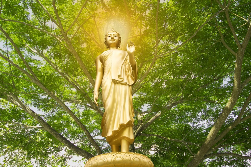 statue of gold Buddha in front of large tree