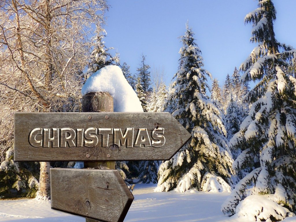 Wooden sign saying Christmas in a snowy forest