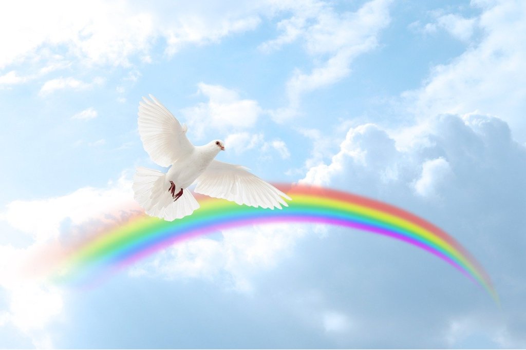A white dove flying in a blue sky with clouds and a rainbow